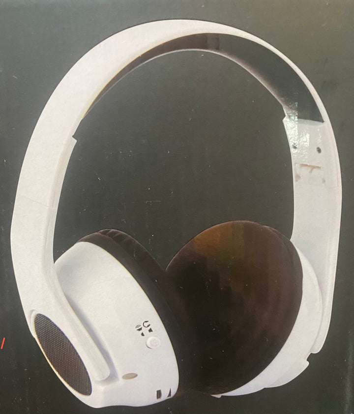 Dubz by PA Headphone 2 Hybrid Speakers - TheDesignChambersBoutique